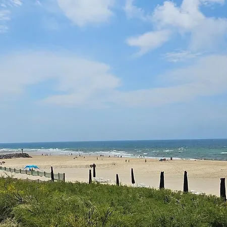 A 15 Minutes De L'ocean, Mimizan Campingplads Aureilhan (Landes)