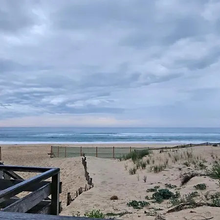 A 15 Minutes De L'ocean, Mimizan Aureilhan (Landes)