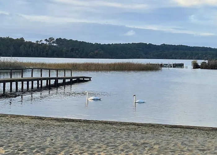 Le Charme Des Landes